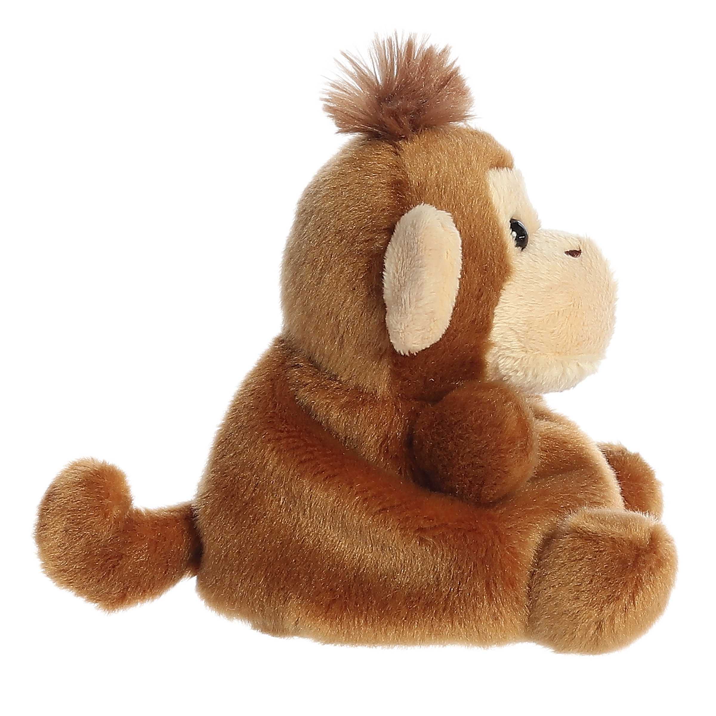 406-boomer-monkey–1.jpg