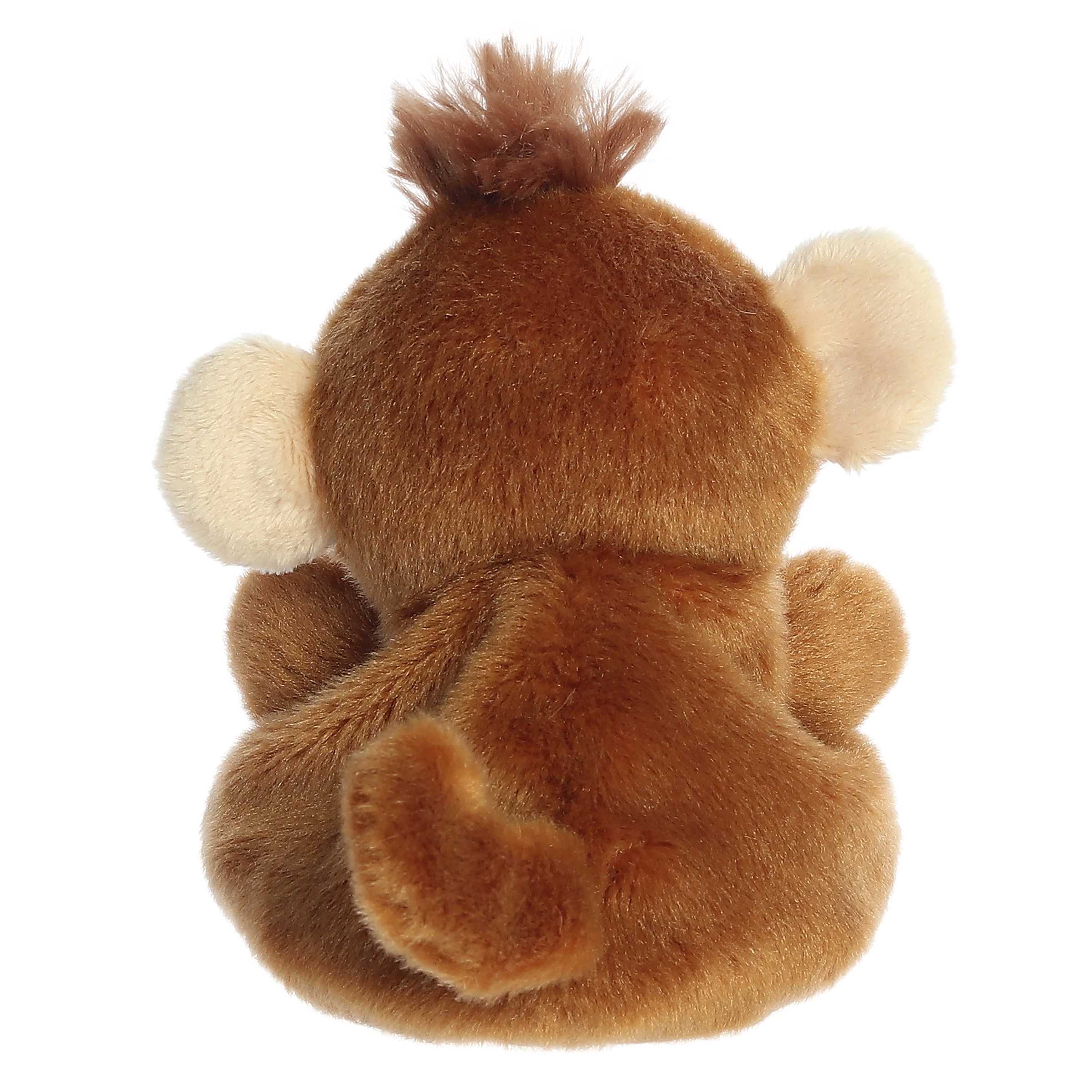 406-boomer-monkey–1.jpg