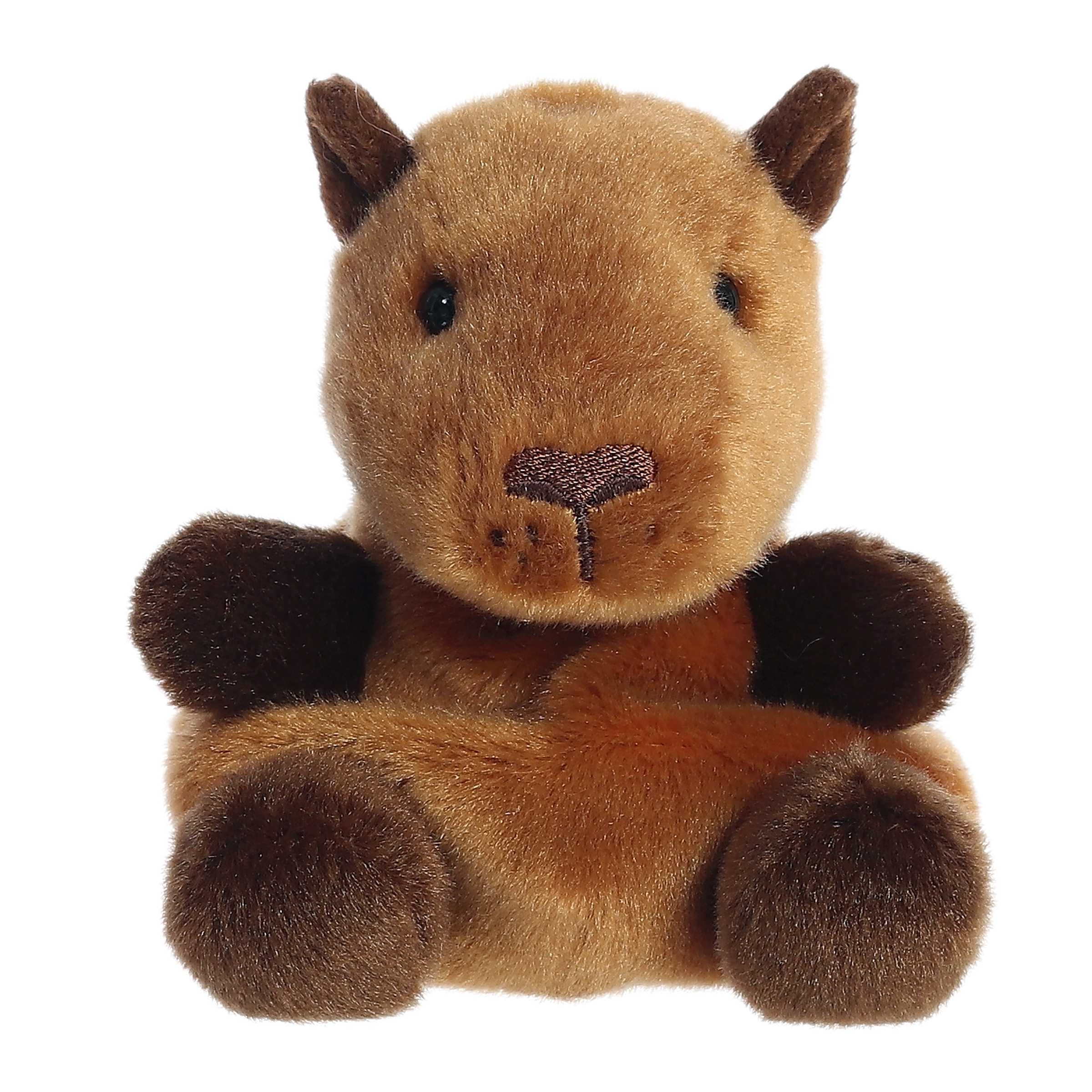 Sid Capybaraâ¢