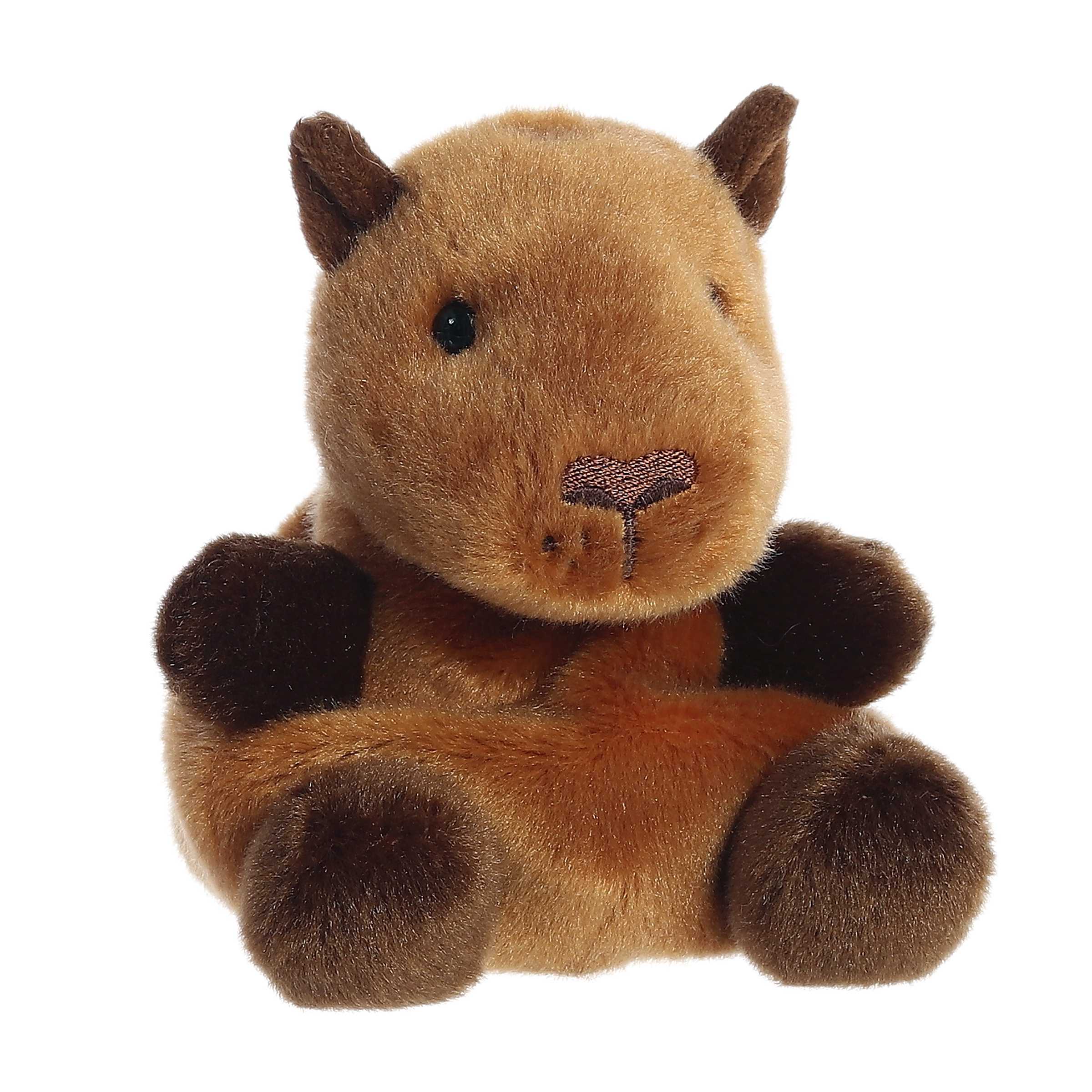 Sid Capybaraâ¢