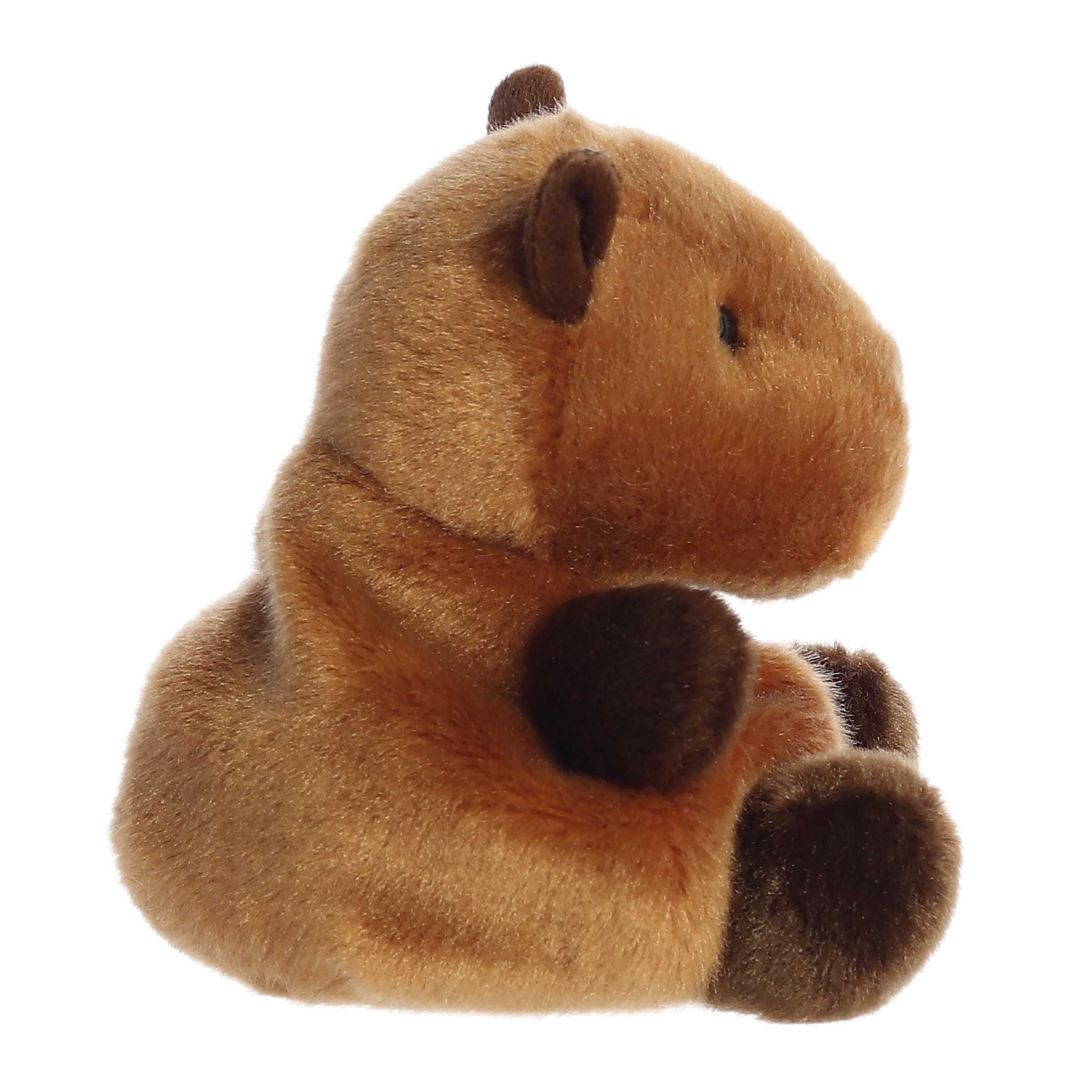 407-sid-capybara–1.jpg
