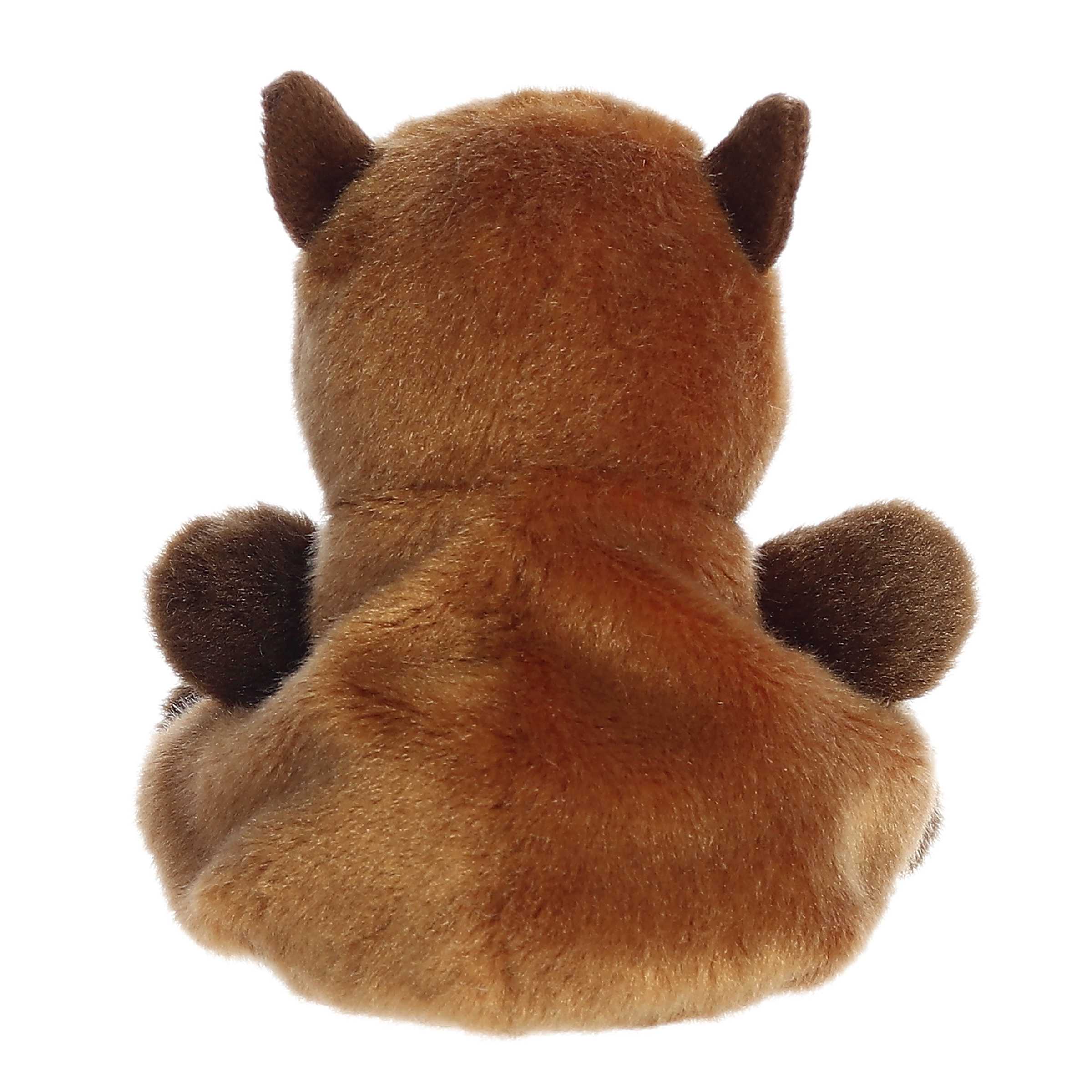 407-sid-capybara–1.jpg