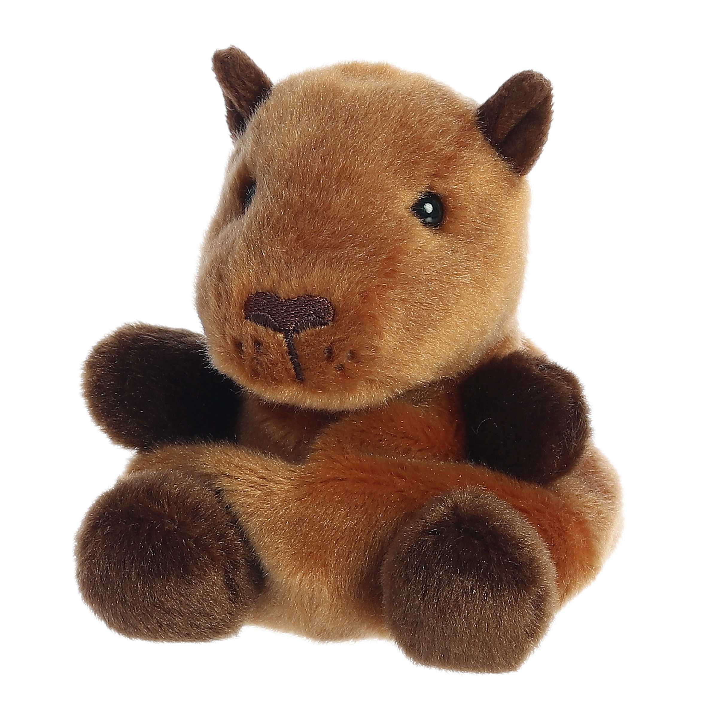 407-sid-capybara–1.jpg