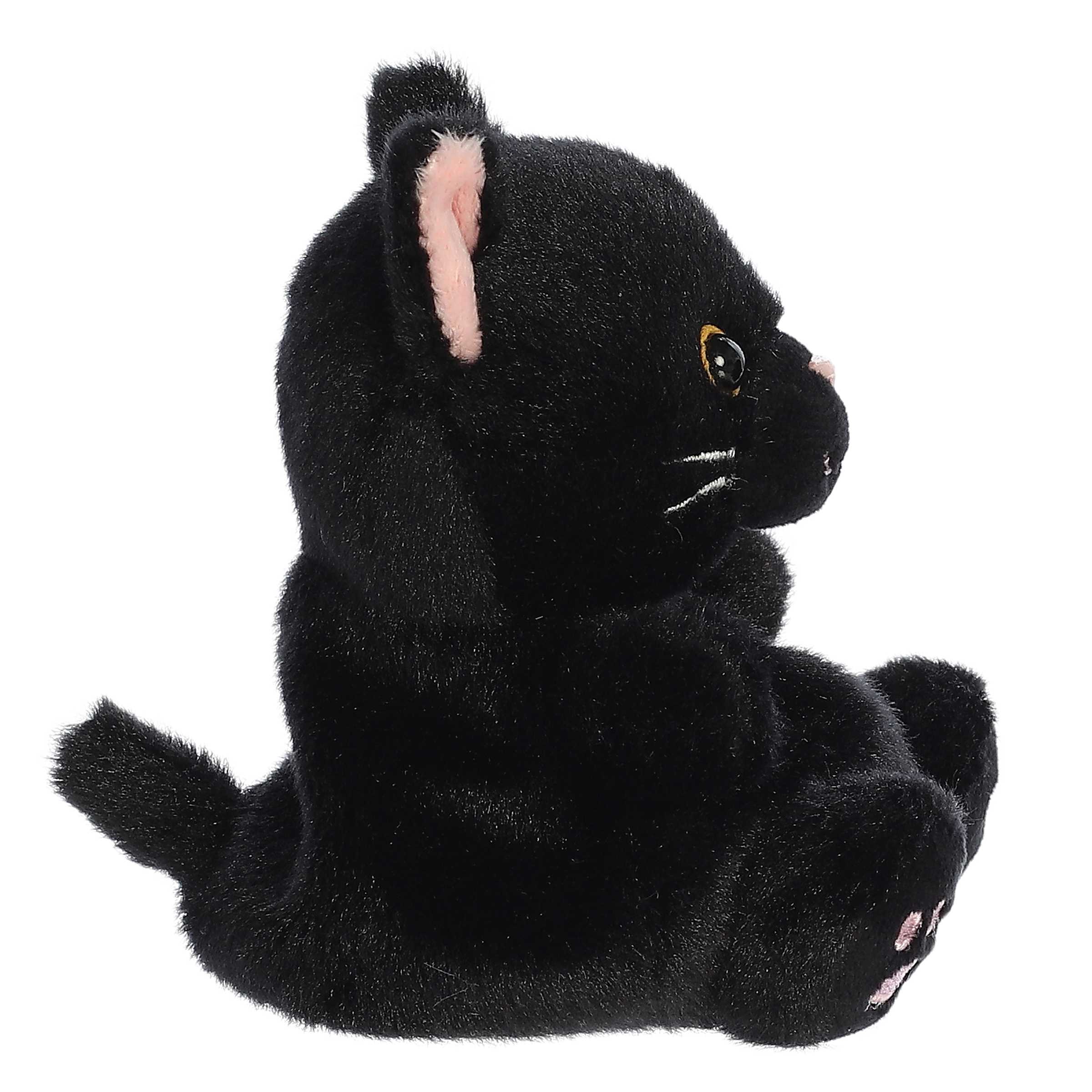 416-twilight-black-cat–1.jpg