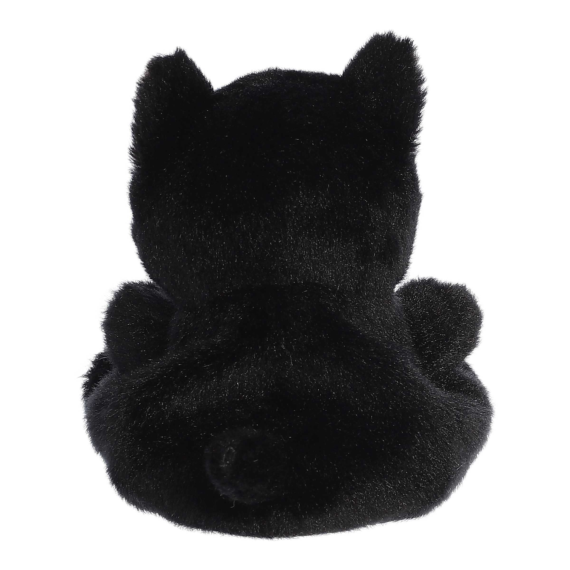 416-twilight-black-cat–1.jpg
