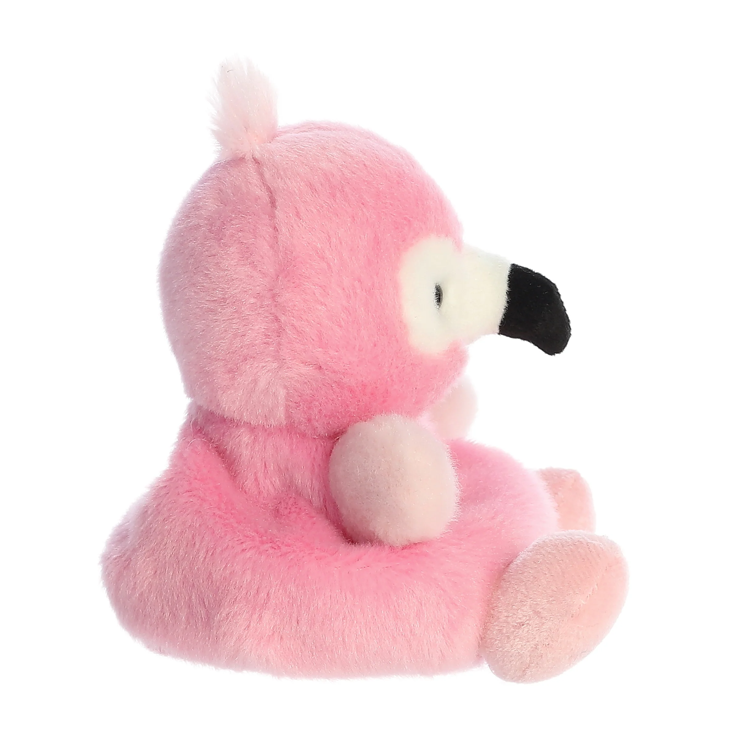 417-pinky-flamingo–1.webp