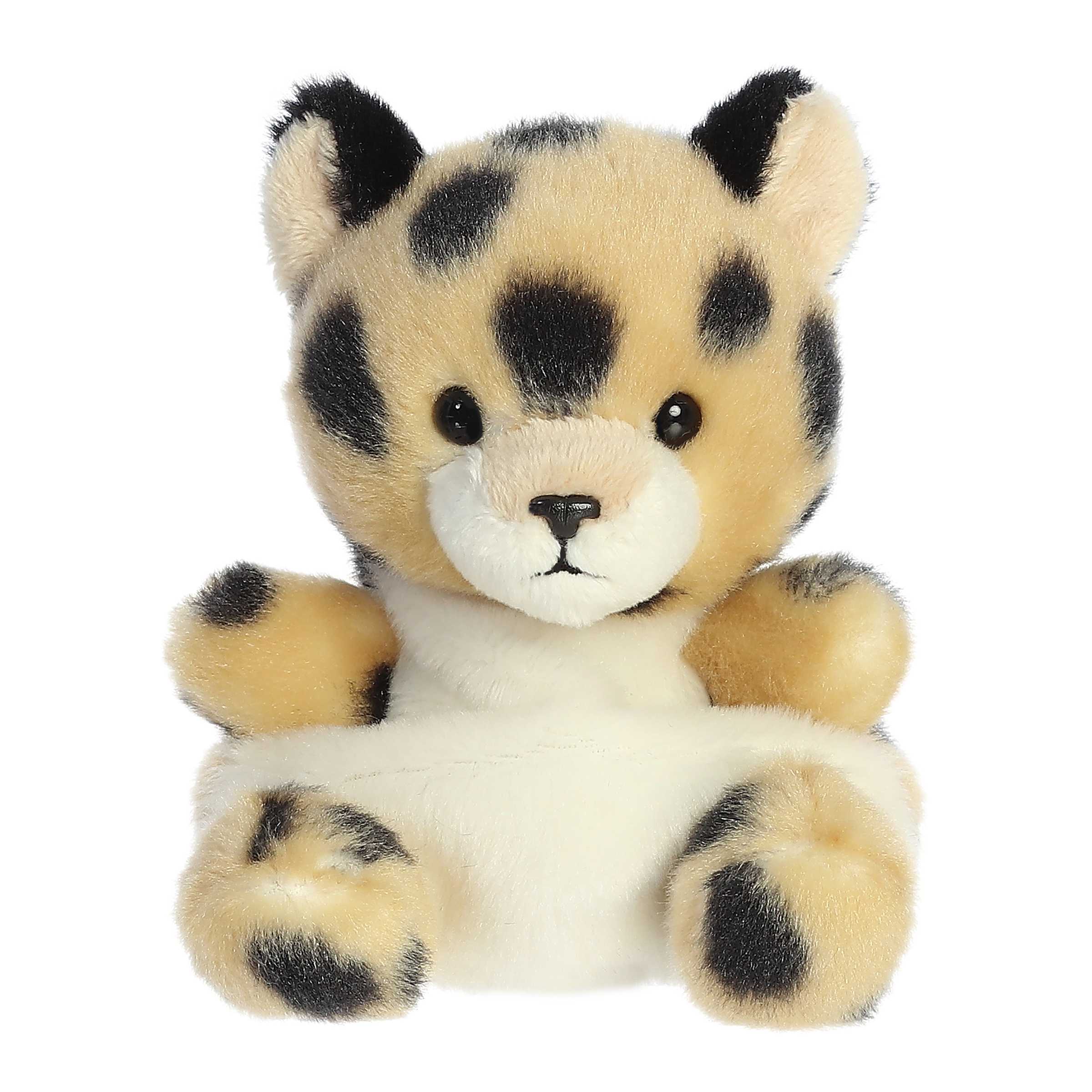 Chutney Cheetahâ¢