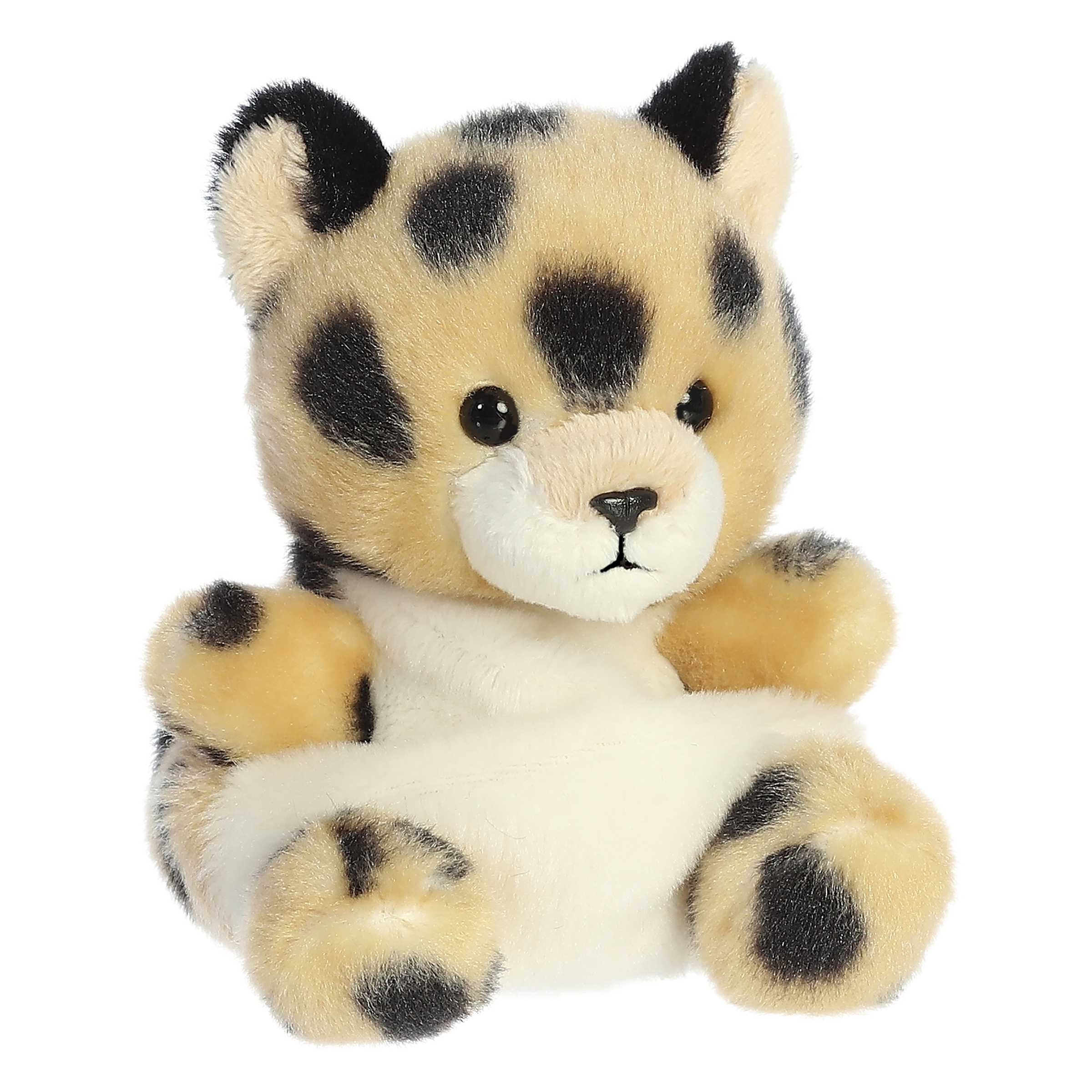 Chutney Cheetahâ¢