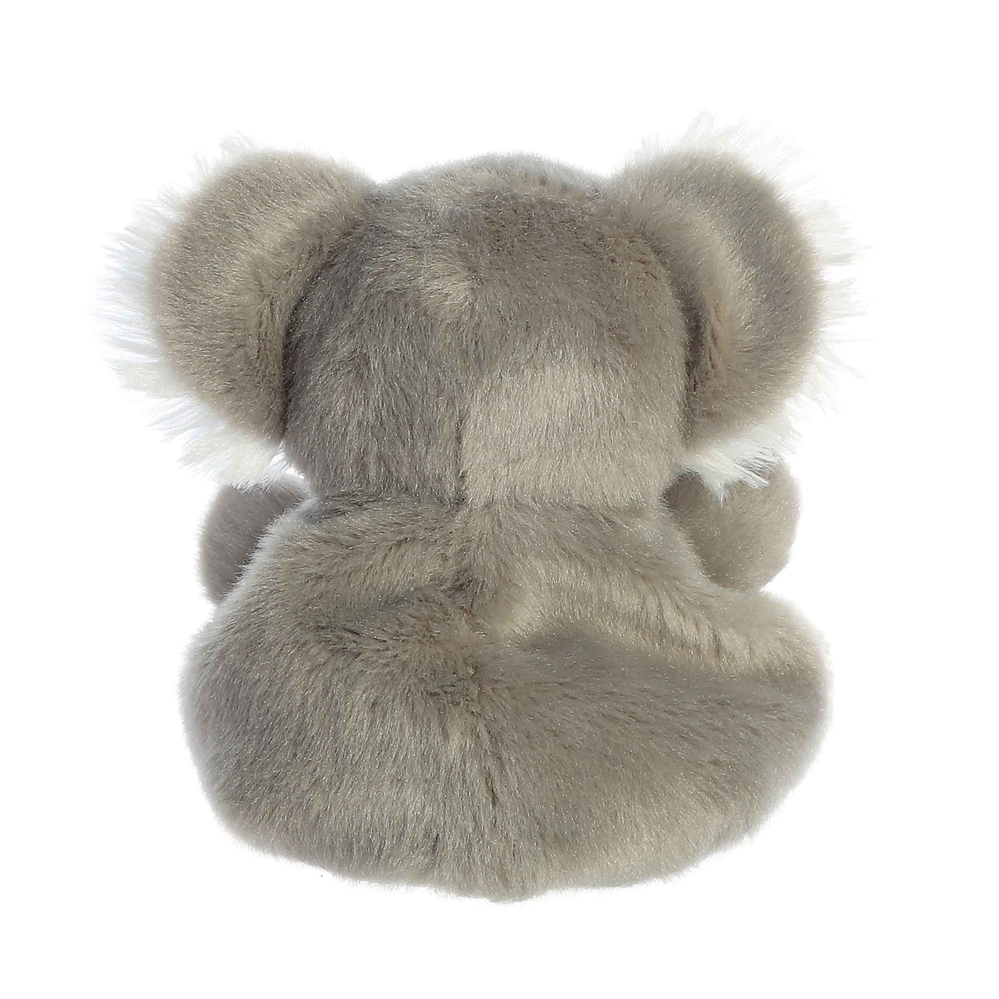421-wiggles-koala–1.jpg