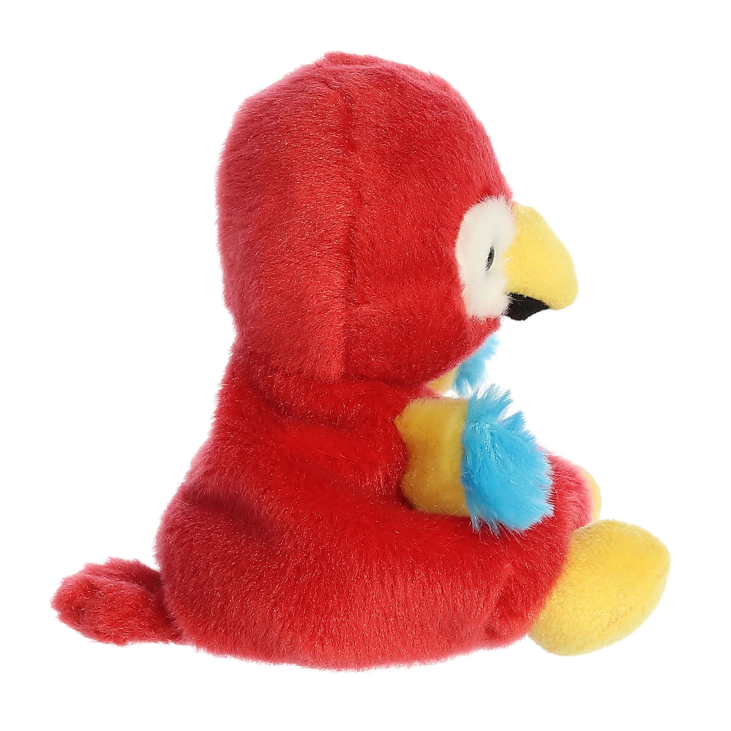 424-scarlette-the-macaw–1.webp