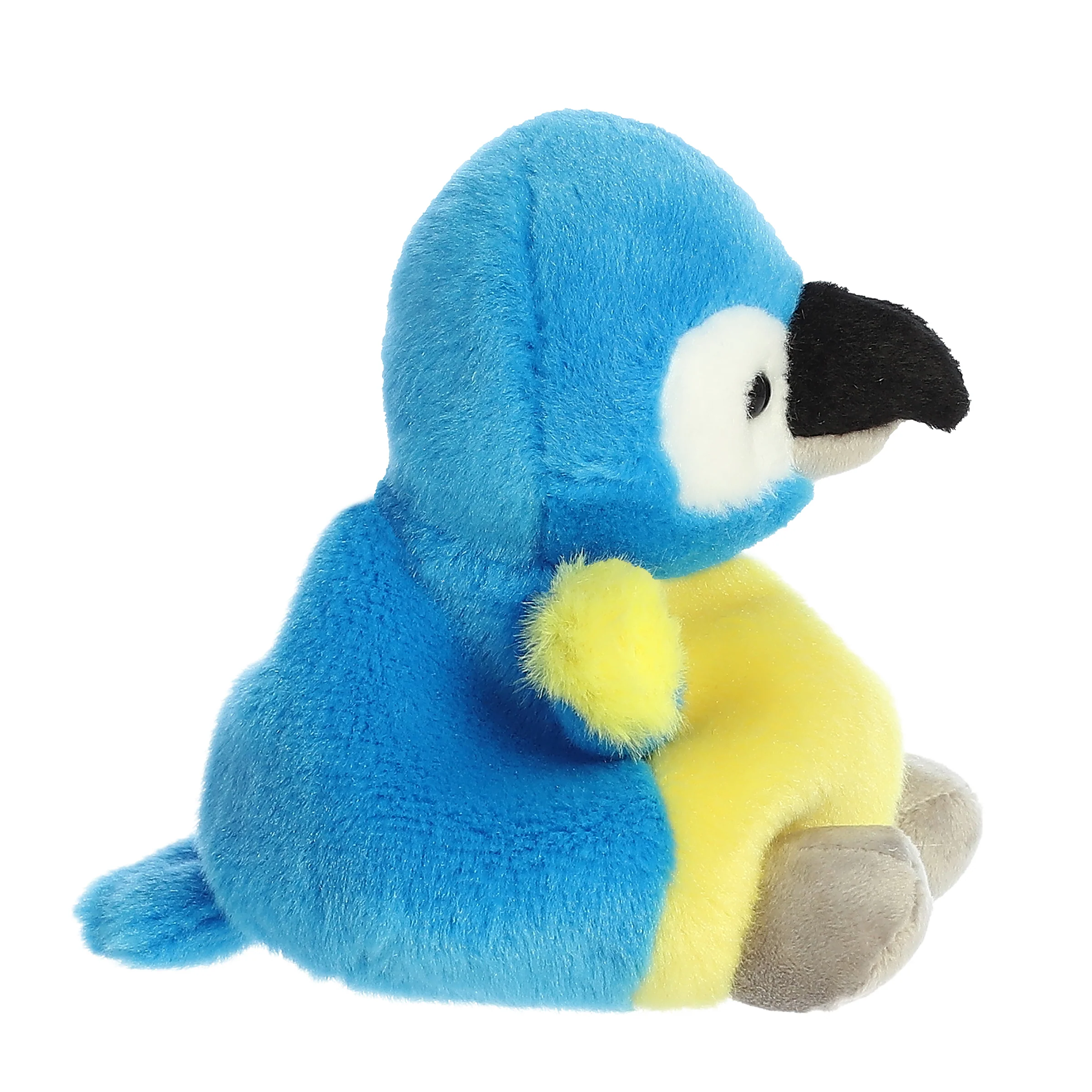 438-blues-macaw–1.webp