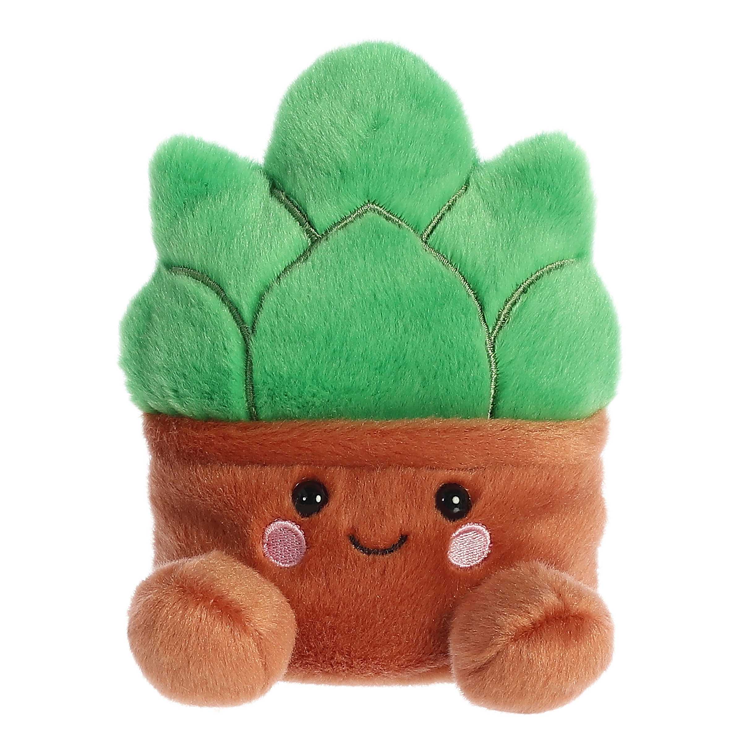 Gigi Succulentâ¢