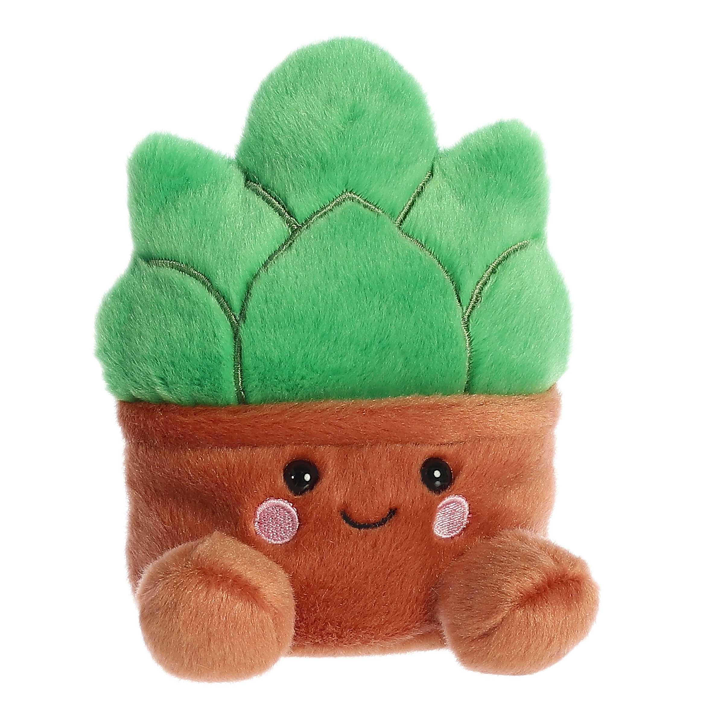 Gigi Succulentâ¢