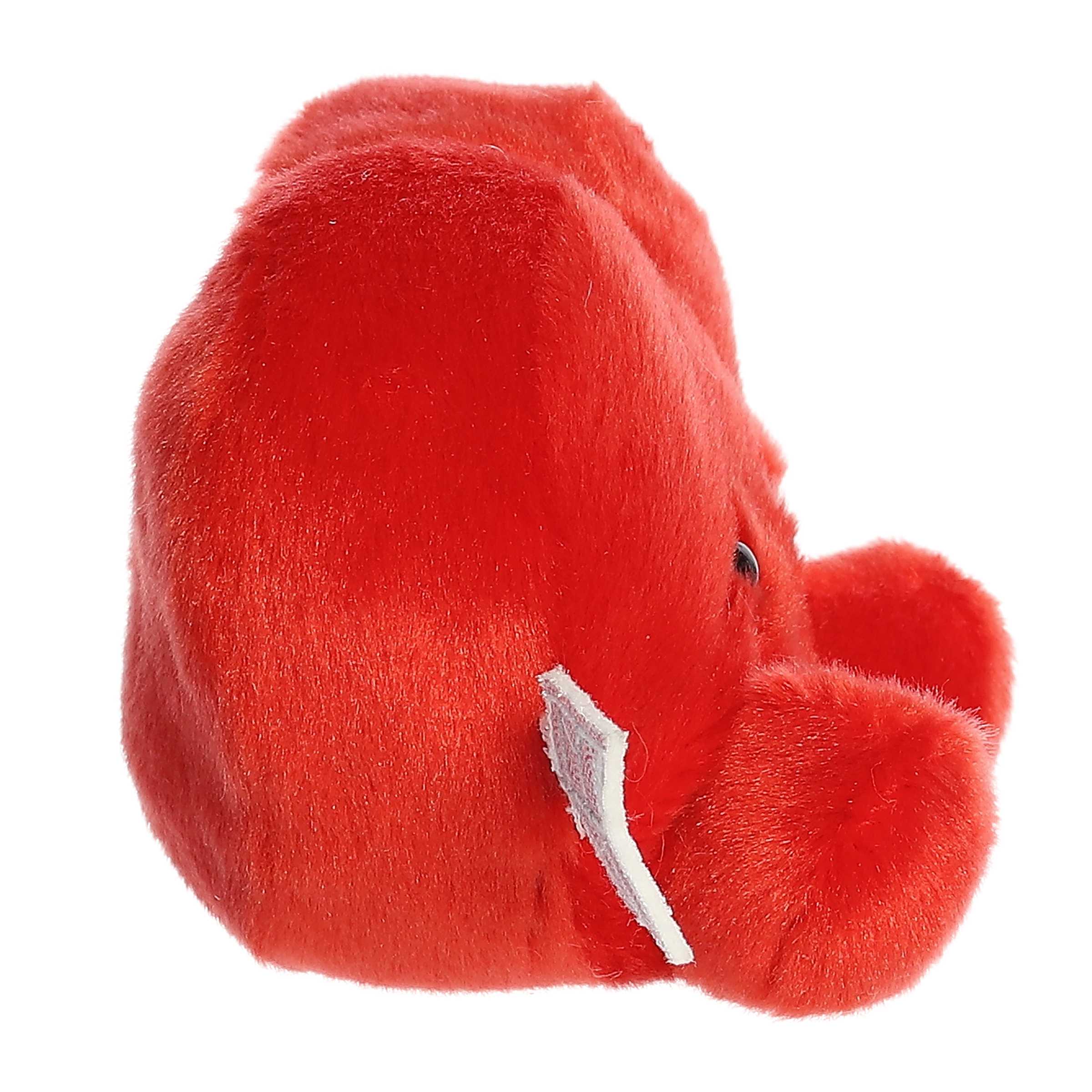 480-paolo-cupid-heart–1.jpg