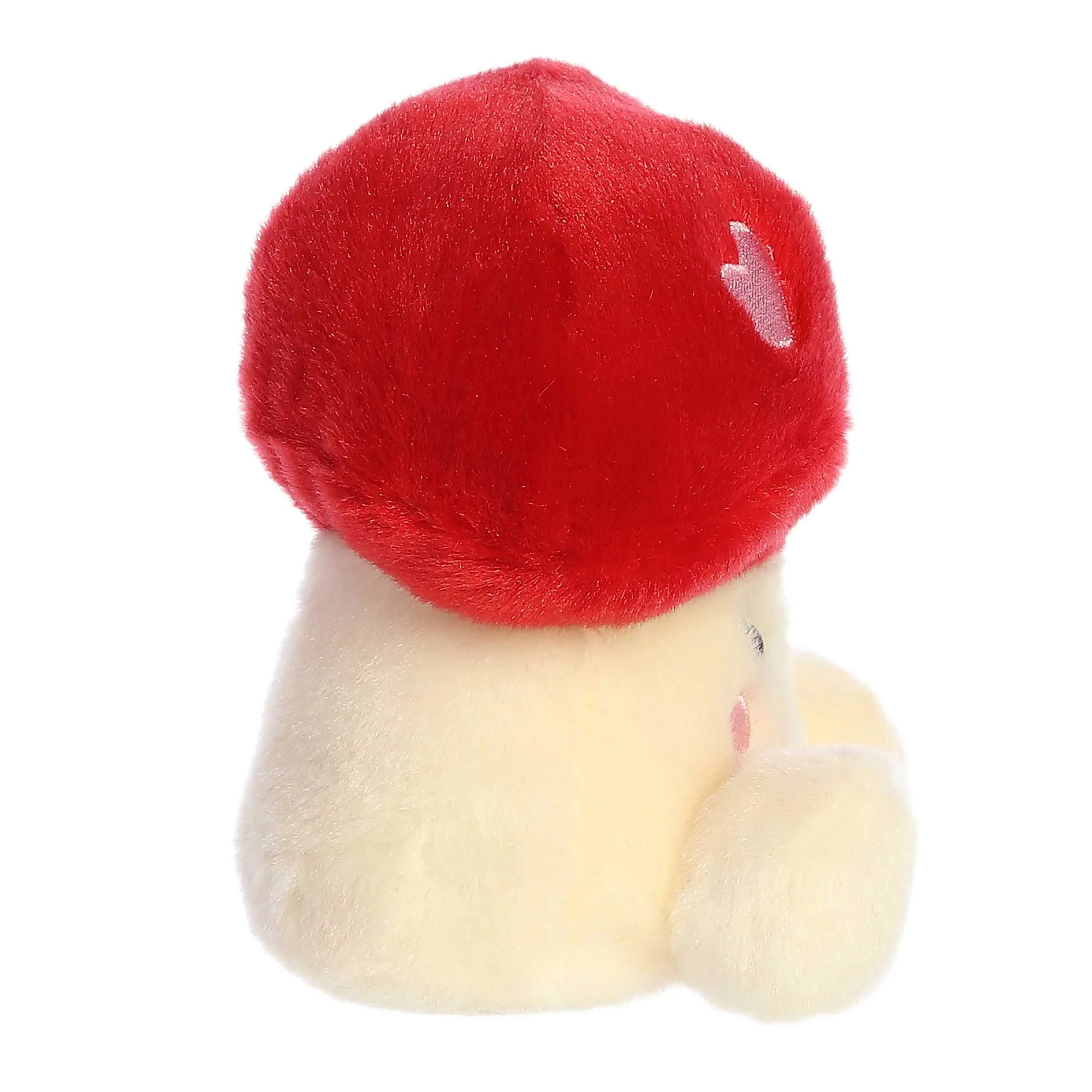 486-aislyn-heart-mushroom–1.jpg