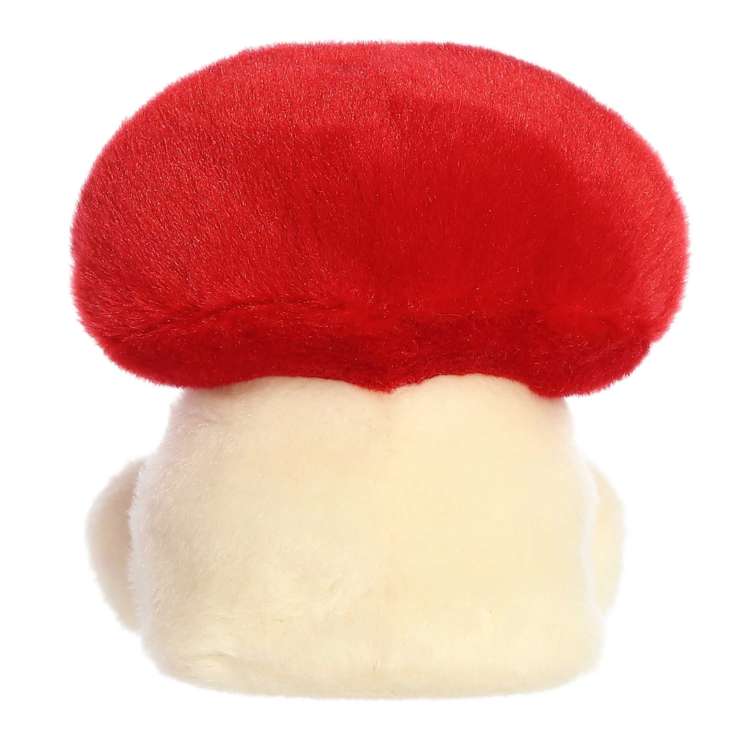 486-aislyn-heart-mushroom–1.jpg