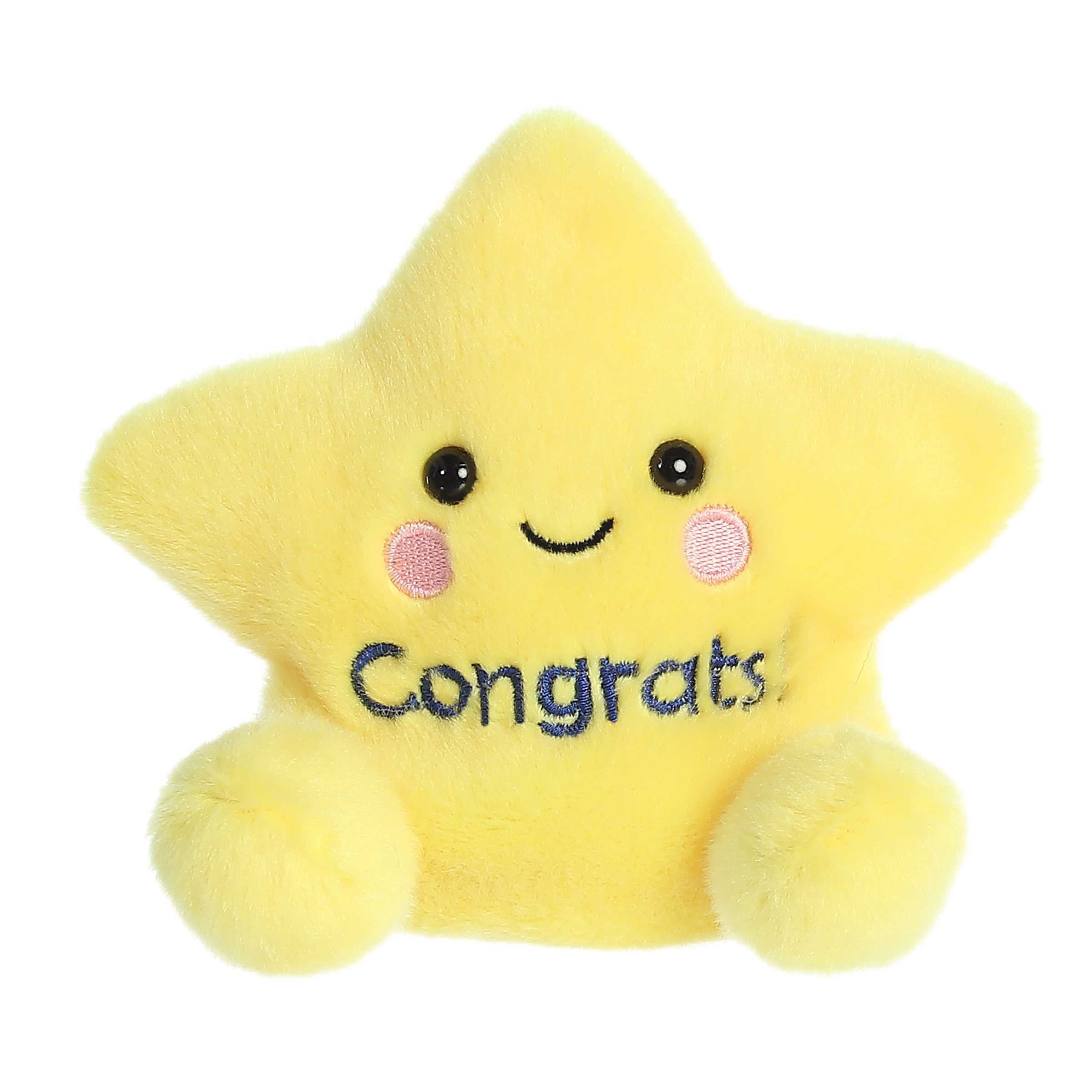 Galileo Congrats Star
