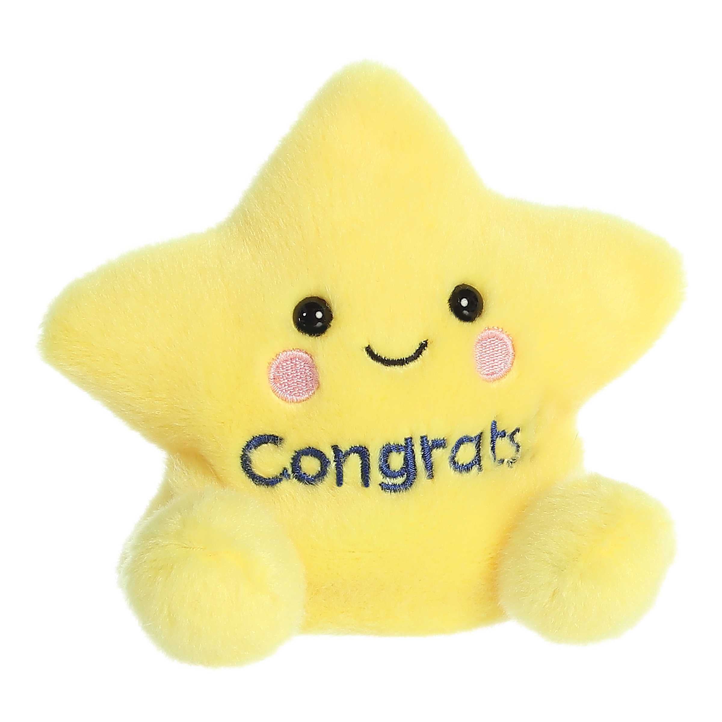Galileo Congrats Star