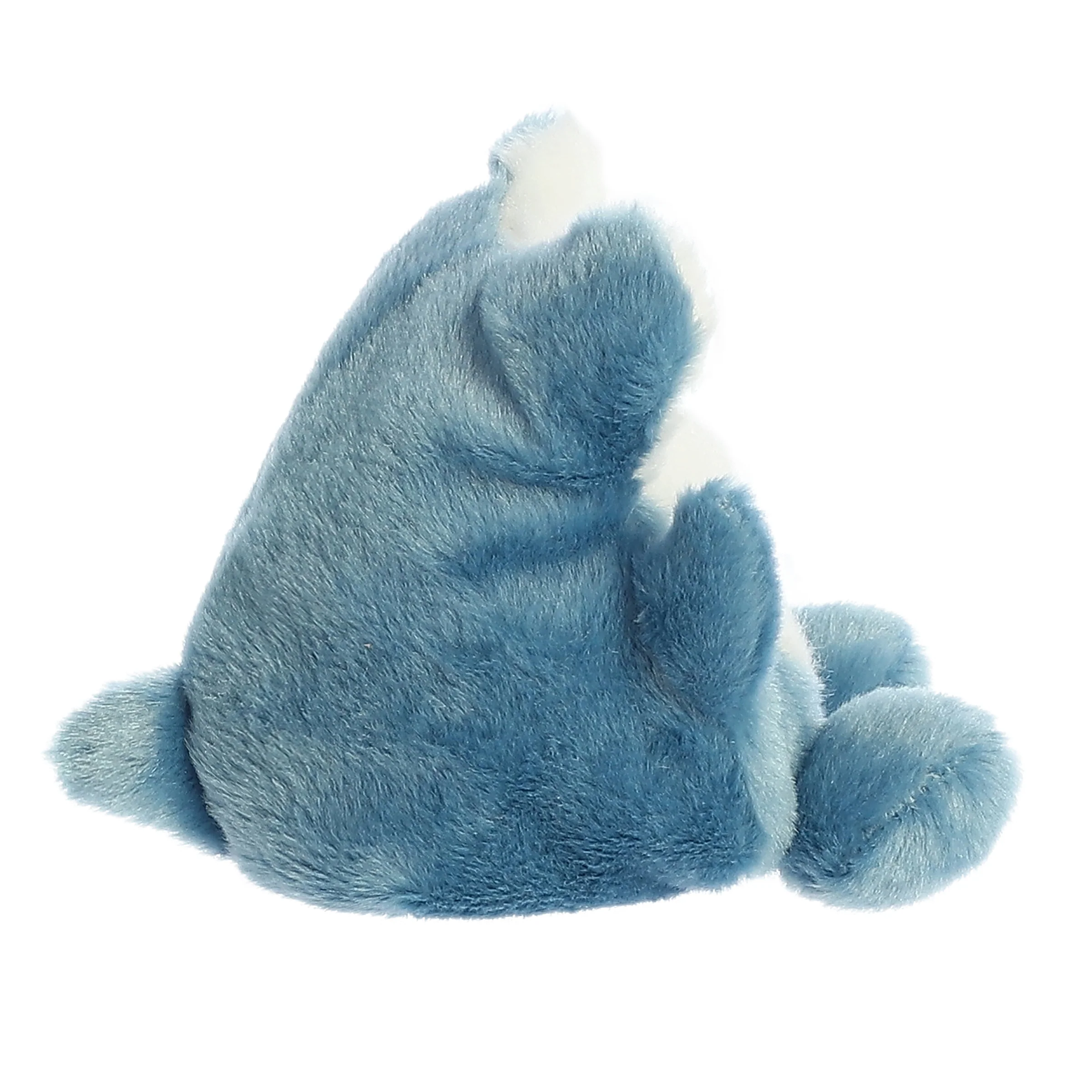 5-huddleston-hammerhead-shark–1.webp