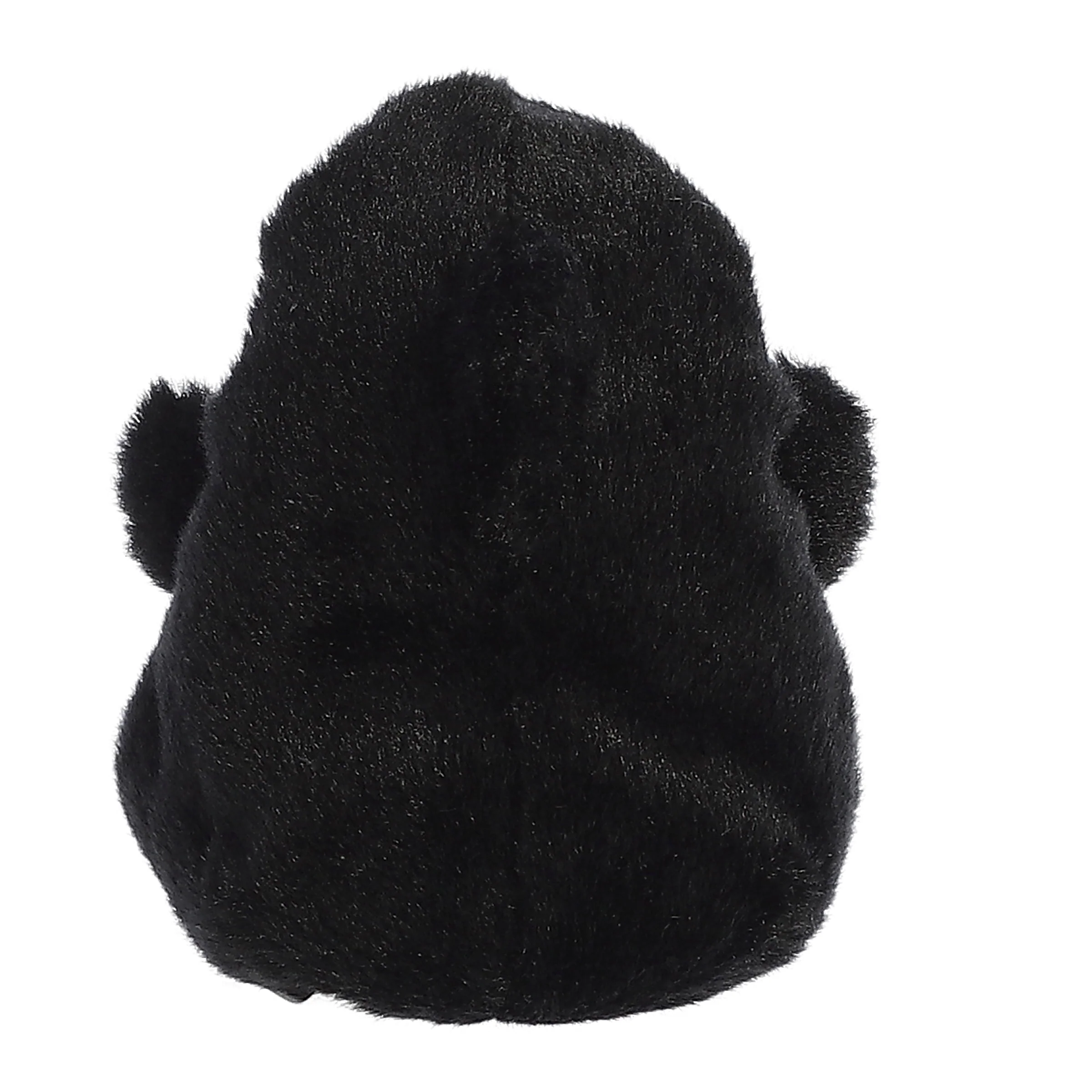 516-juneau-orca–1.webp