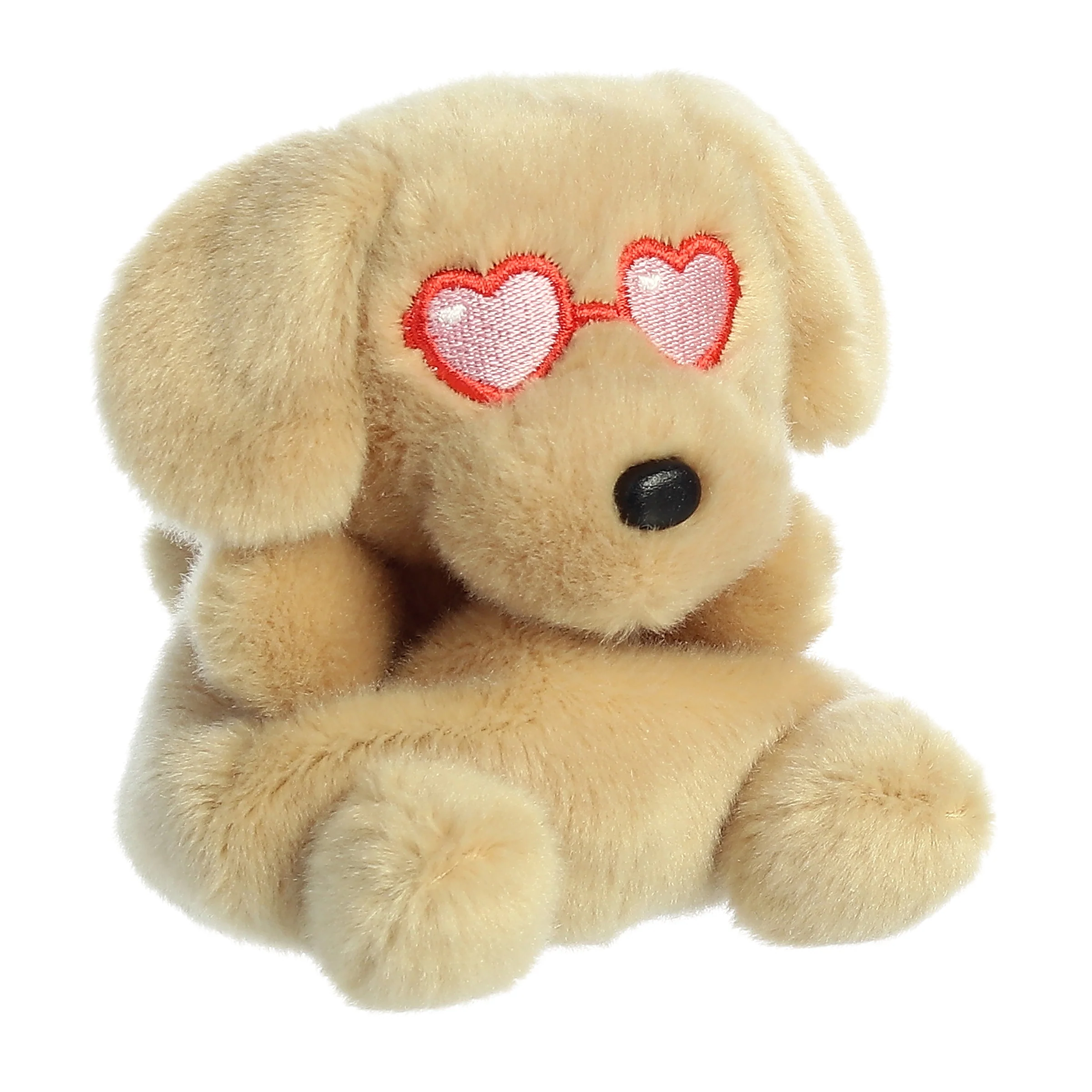 536-buddie-dog–1.webp