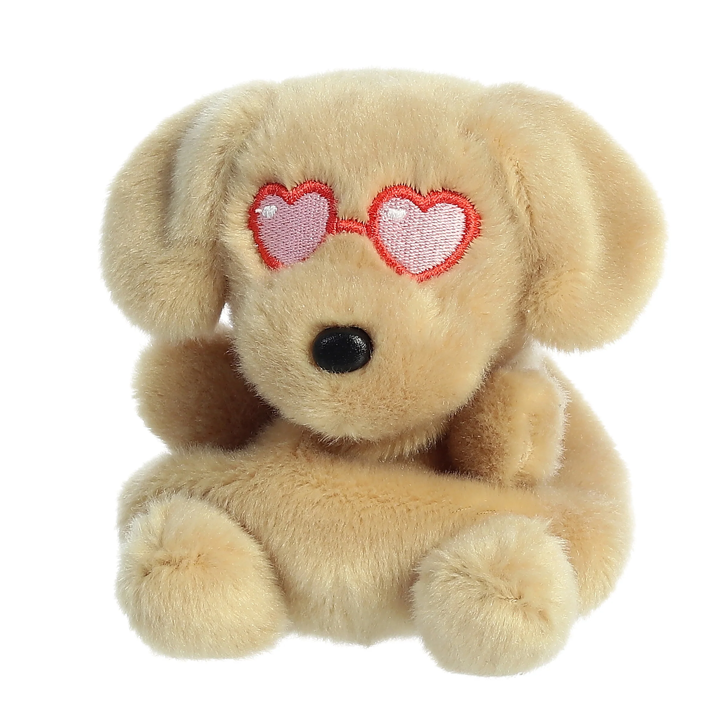 536-buddie-dog–1.webp