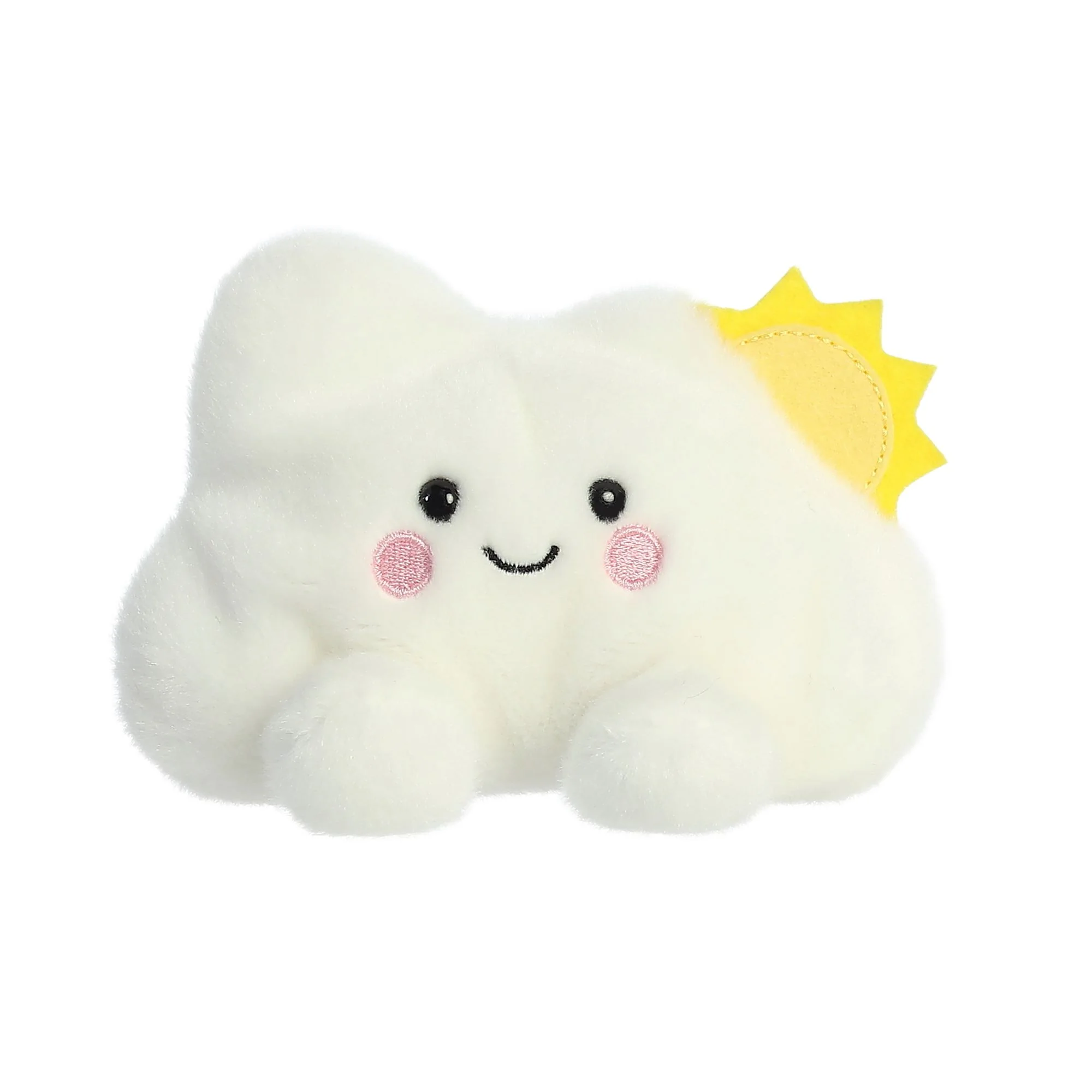 542-summer-cloud–1.webp