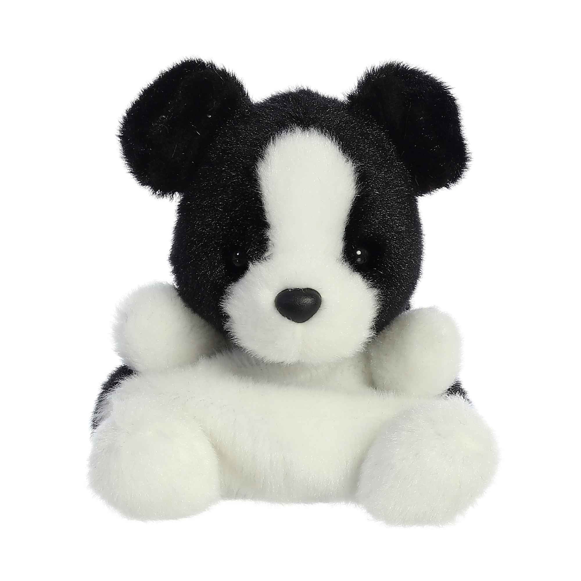 Brody Collieâ¢