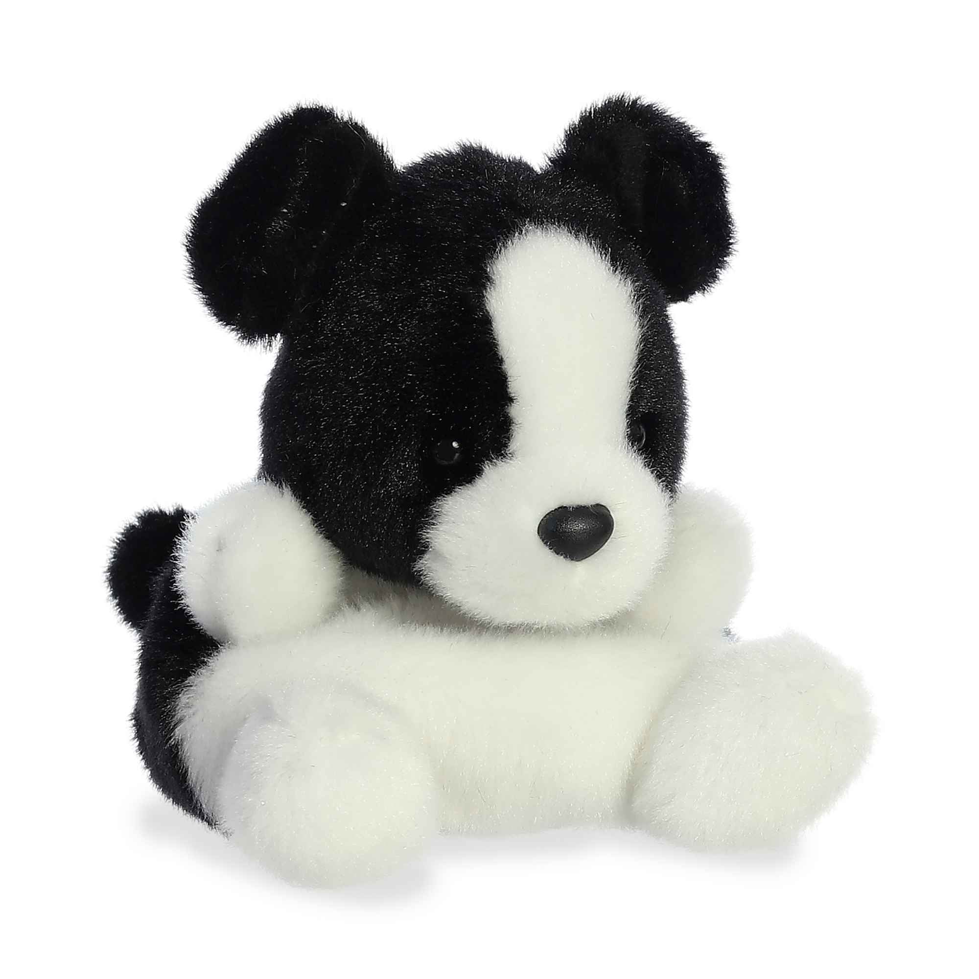 Brody Collieâ¢
