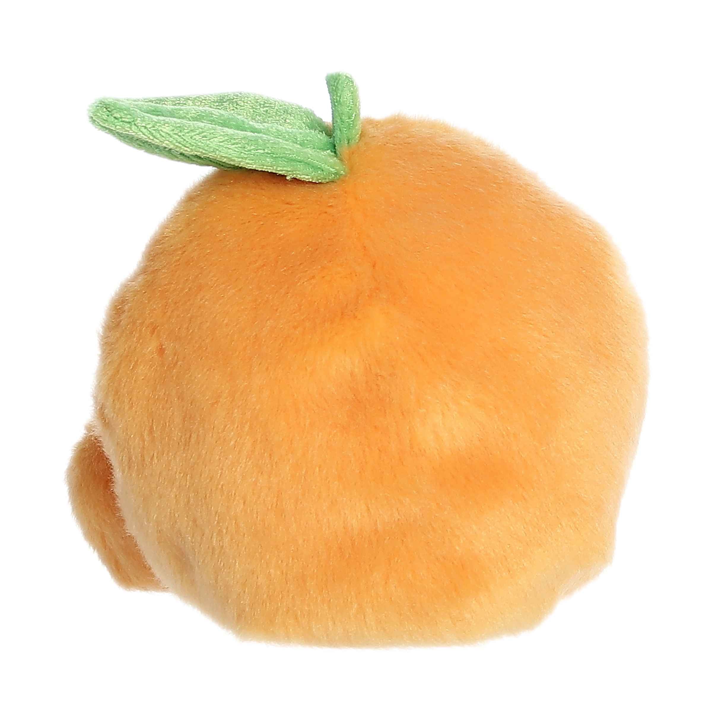 69-tangie-orange–1.jpg