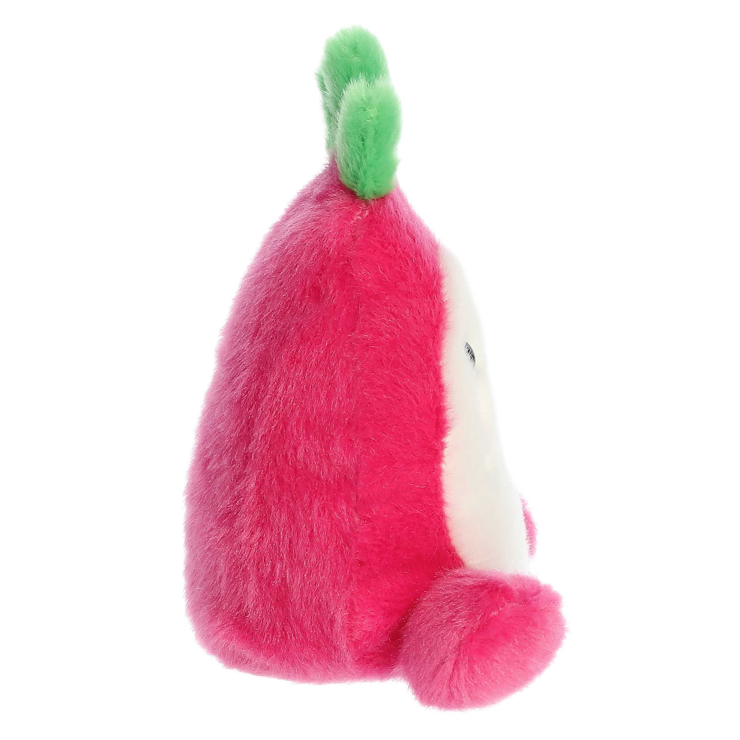 82-rhys-dragonfruit–1.jpg