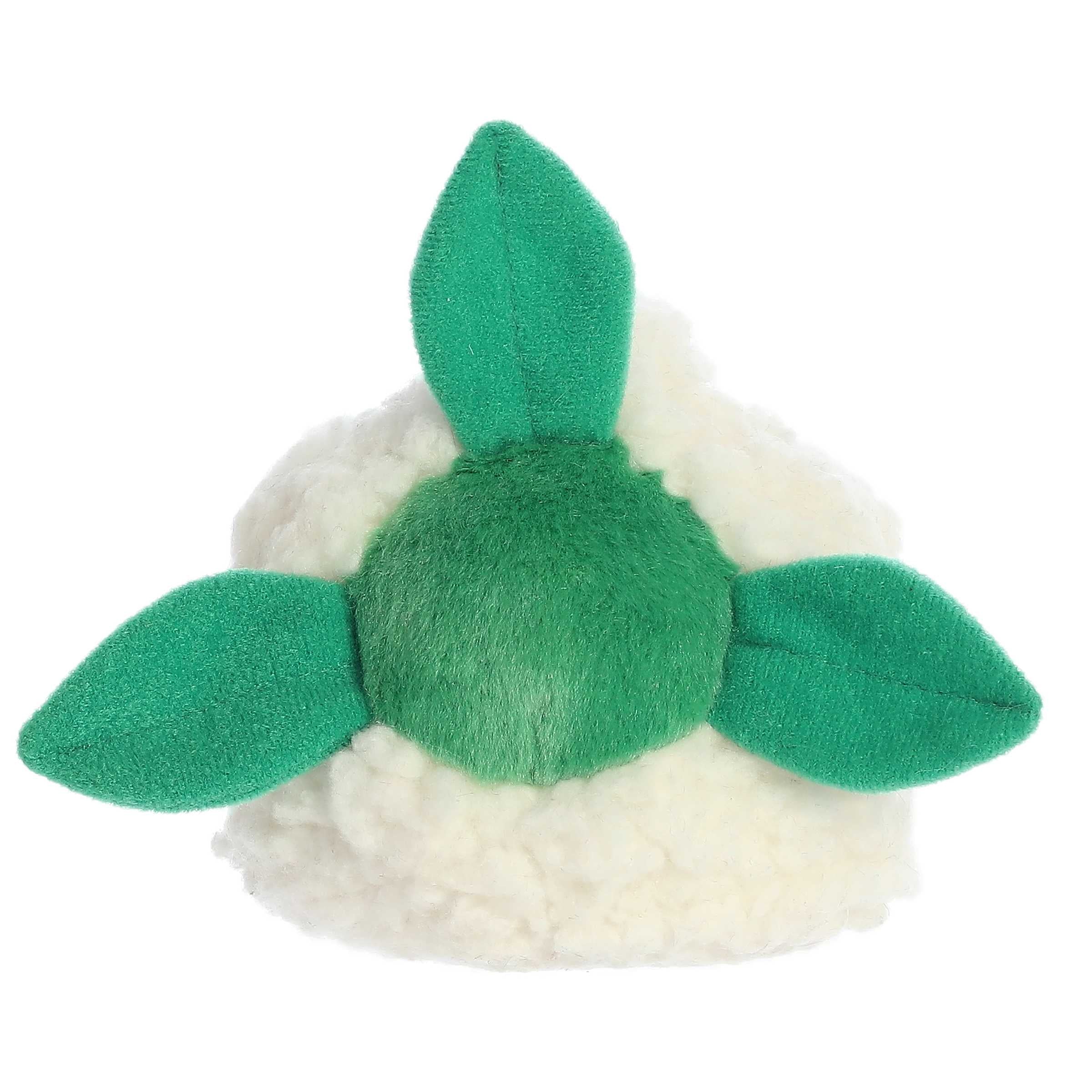 90-kelly-cauliflower–1.jpg